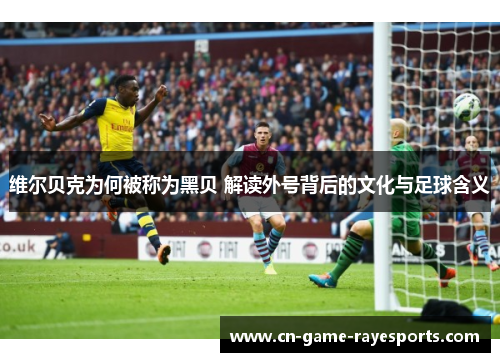 维尔贝克为何被称为黑贝 解读外号背后的文化与足球含义