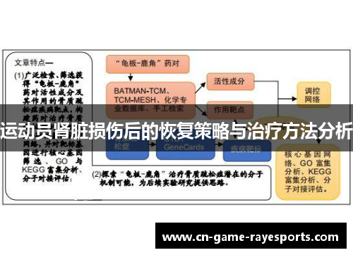 运动员肾脏损伤后的恢复策略与治疗方法分析