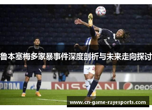 鲁本塞梅多家暴事件深度剖析与未来走向探讨